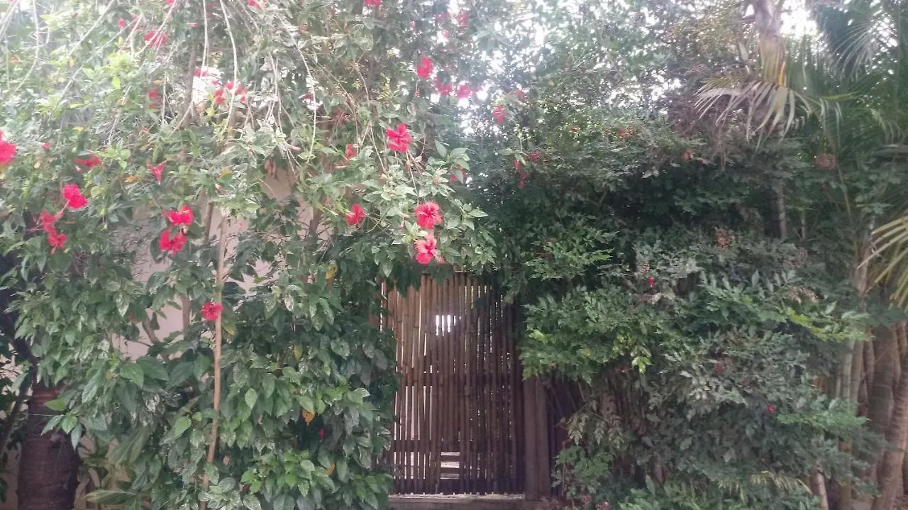 La Tropezina Vila Búzios Casa de Férias